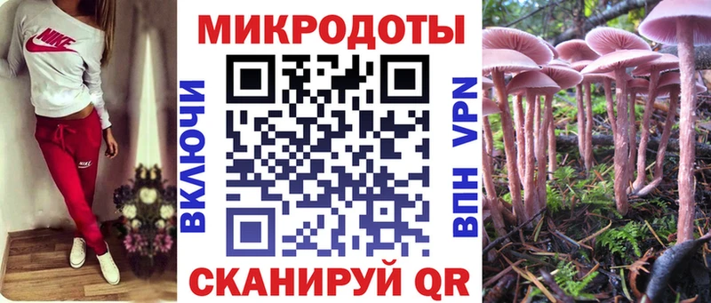 Псилоцибиновые грибы Psilocybe  Борисоглебск 